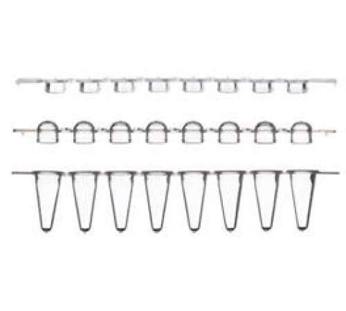 Пробирки для ПЦР в стрипах, 0,2 мл, 1х8, с выпуклыми крышками, низкий профиль, бесцветные, полипропилен, 250 шт/уп., Thermo FS