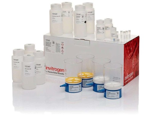 Набор PureLink Expi Endotoxin-Free Giga Plasmid Purification Kit, Thermo FS