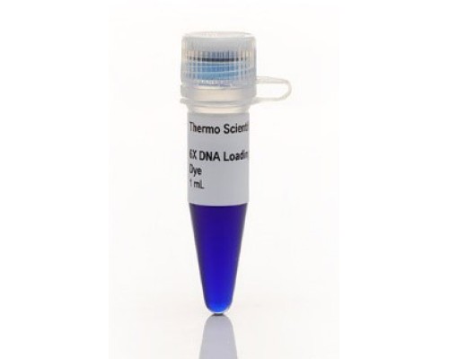 Краситель для нанесения на гель RNA Gel Loading Dye, 2Х, Thermo FS