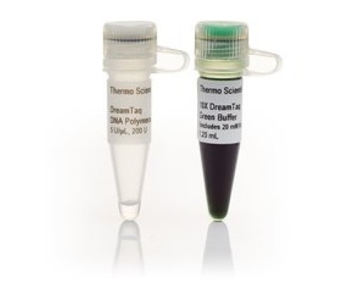 ДНК-полимераза DreamTaq Green, термостабильная, 5 ед/мкл, Thermo FS