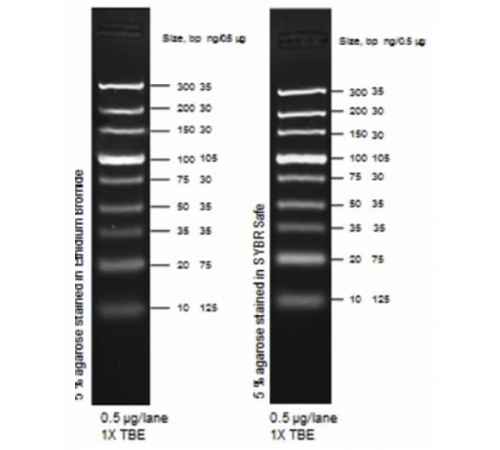 Маркер длин ДНК, Ultra Low Range, 9 фрагментов от 10 п.н. до 300 п.н., 0,5 мкг/мкл, Thermo FS